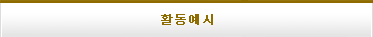 활동예시