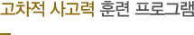 고차적 사고력 훈련 프로그램