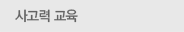 사고력 교육