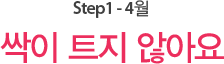 Step1 - 3월 싹이 트지 않아요