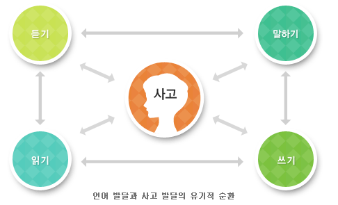 '언어발달과 사고 발달의 유기적 순환 사고, 듣기, 말하기, 읽기, 쓰기