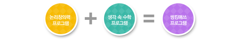 씽킹매쓰 프로그램