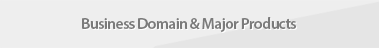 Business Domain & Major Products