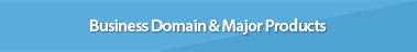 Business Domain & Major Products